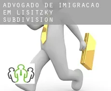 Advogado de imigração em  Lisitzky Subdivision