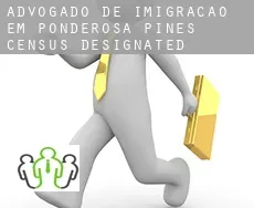 Advogado de imigração em  Ponderosa Pines