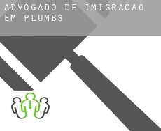 Advogado de imigração em  Plumbs