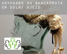 Advogado da bancarrota em  Dolní Újezd