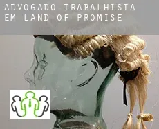 Advogado trabalhista em  Land of Promise