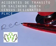 Acidentes de trânsito  em  Salineno North