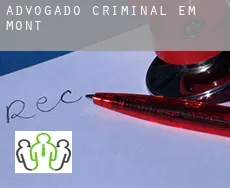 Advogado criminal em  Mont