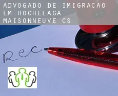Advogado de imigração em  Hochelaga-Maisonneuve (census area)
