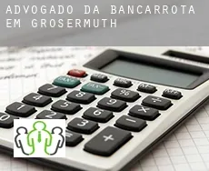 Advogado da bancarrota em  Großsermuth