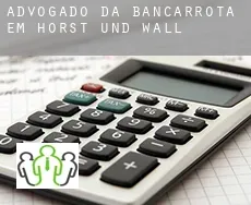 Advogado da bancarrota em  Horst und Wall