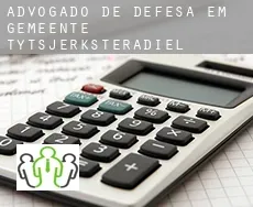 Advogado de defesa em  Gemeente Tytsjerksteradiel