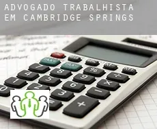 Advogado trabalhista em  Cambridge Springs