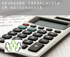 Advogado trabalhista em  Haidehäuser