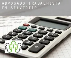 Advogado trabalhista em  Silvertip