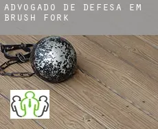 Advogado de defesa em  Brush Fork