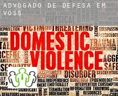 Advogado de defesa em  Voss